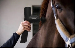 Horse and dog bundle 2