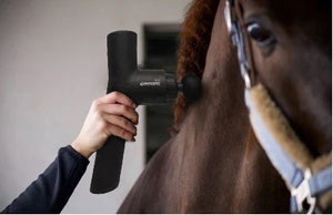 Zestaw dla konia i psa