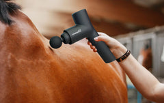 Horse and dog bundle 3